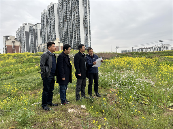 3月29日，張總陪同汪盛縣長調(diào)度揚之學(xué)校征地.jpg